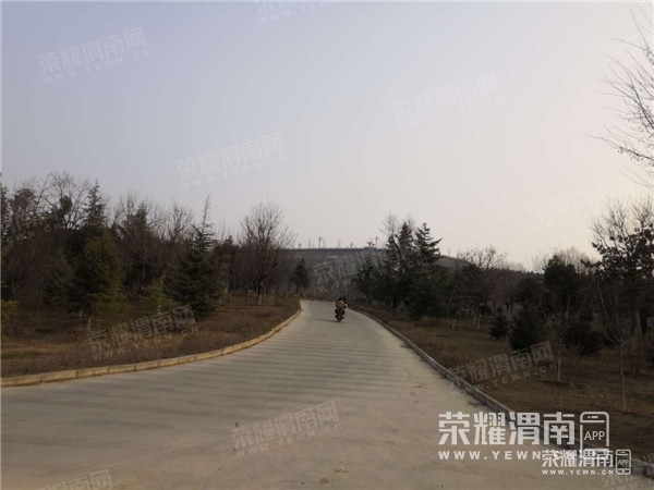 101040tsm5alm52qltd53i.jpg