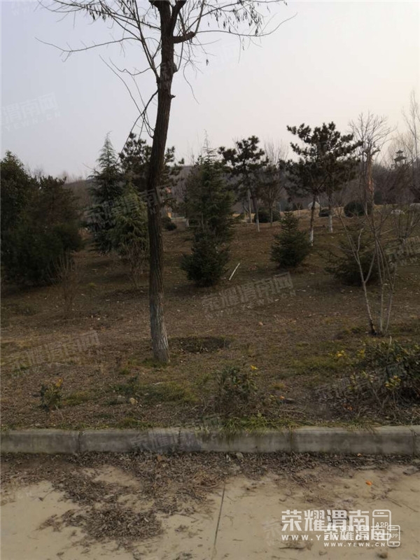 101041pwx1z8frw23zcyx3.jpg