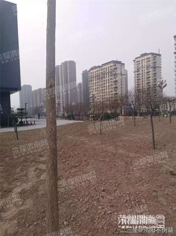 073419kuvin81y58opyhus.jpg