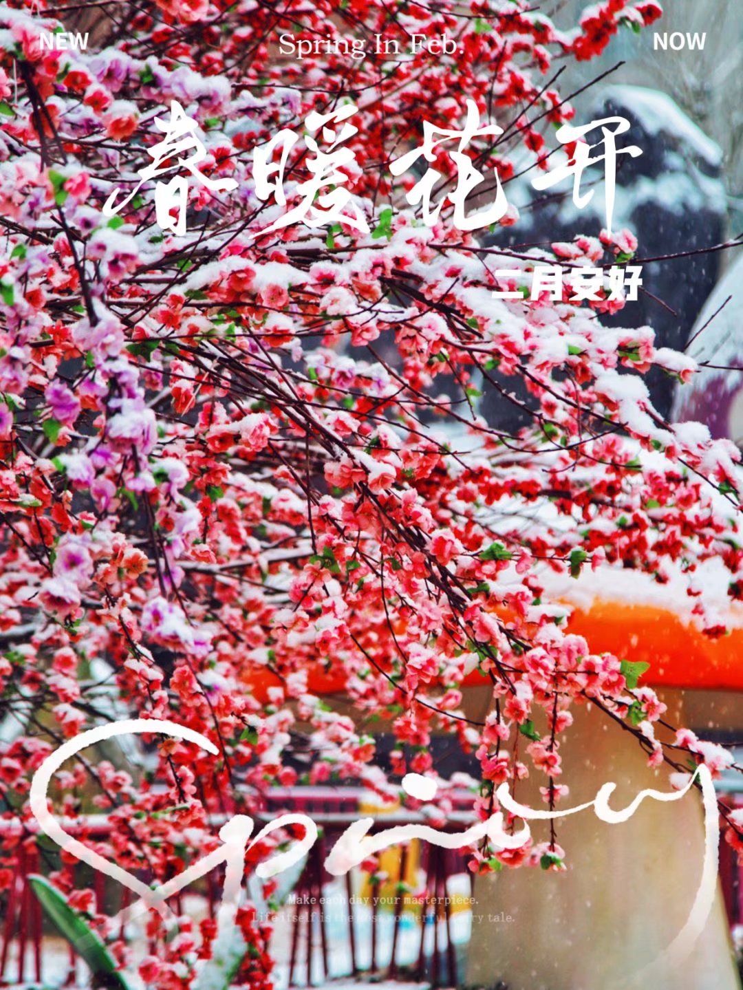 20220219155017front2_0_161040_FqpzXSW4SFUQM5QUgTgASj3YW6IG.jpg