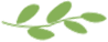 092601p3zfvkkpyg9vfutt.png