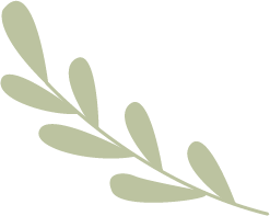 150645c823k8w2abbkgphk.png
