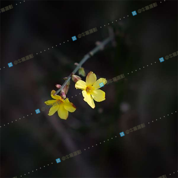 055820umqqvnjqp0jn30ts_����.jpg