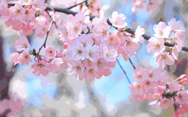 165946tnj3nn76nk5ggp1z.gif