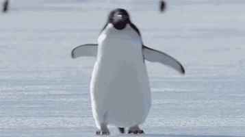 165950b5ss3iaoi3ah2o3x.gif