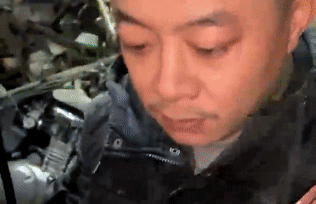 101736gqq4dpkmx1mwp8vd.gif