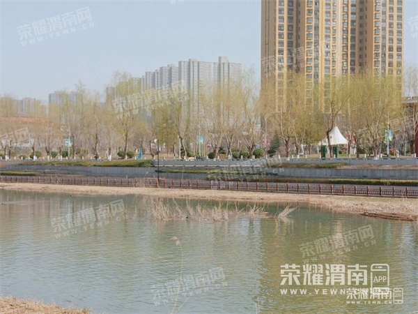105043we55j414nzp4pewp.jpg