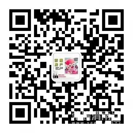 163742ssqlvglfmlpilvdm.jpg