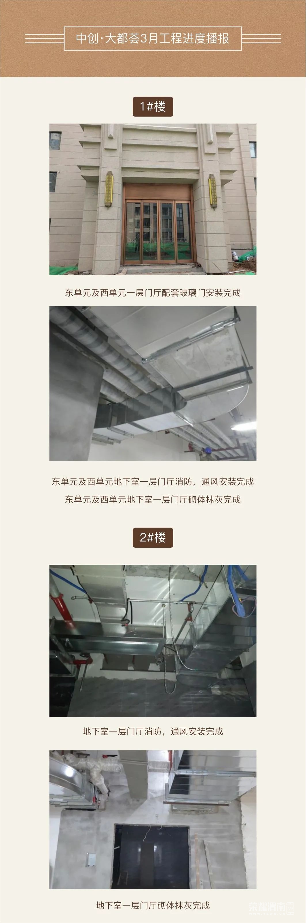 100634opvib5plmp4tnq33.jpeg