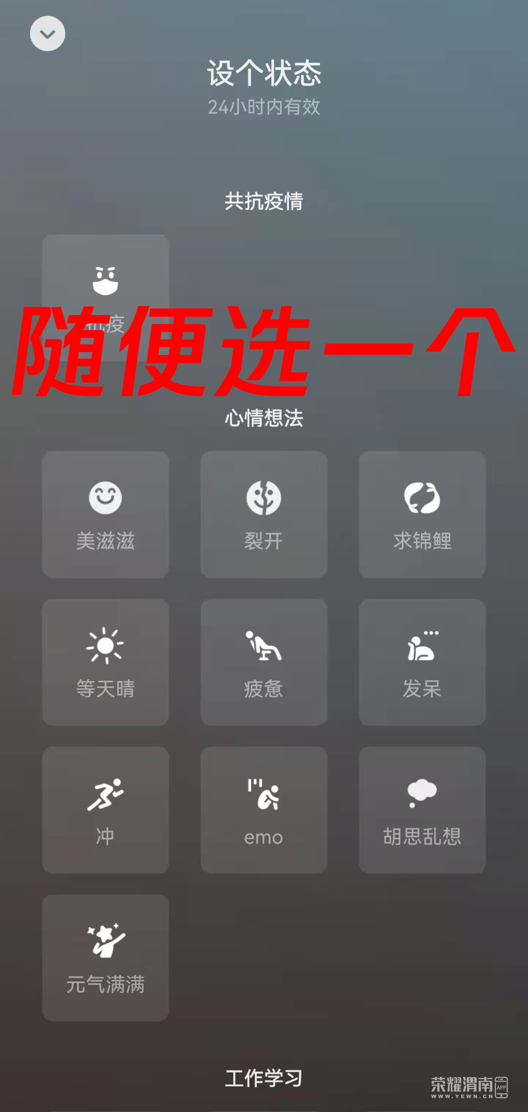 100237oz5o6sv9ihzxqzrz.png