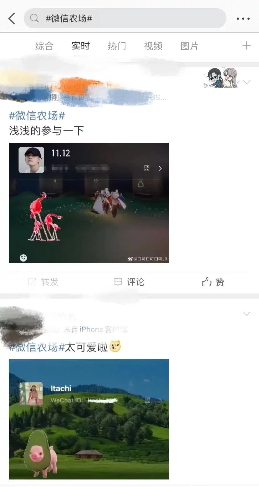 100241tn61o848dndo6jj1.png