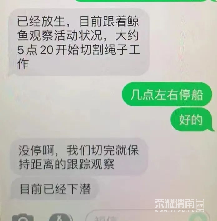 114353xuuy6217tp2eup36.jpeg