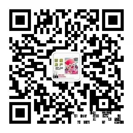 085539oyz2y8nzk2bp3852.jpg