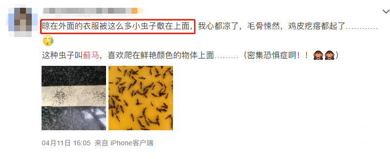 143240yk1su505ccy3sa0s.png