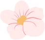 103427pppvfe83f1k4xzv1.png