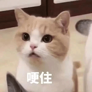 165046k6ztzloqxr7coior.gif