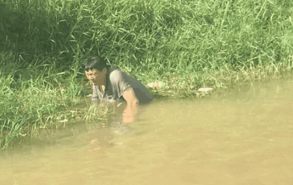 160449e1mx8lmokw8lx8nk.gif