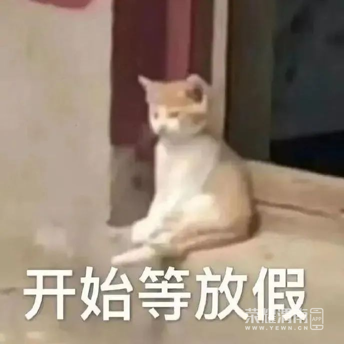 144820v2uuwtzrtdp1utft.png