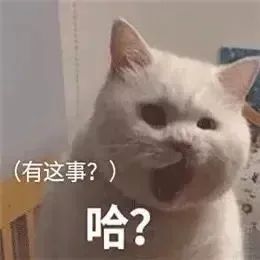 143441zd52ivb5izugbuib.jpeg
