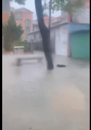 152722wuwbzxbhprvh2gm8.gif