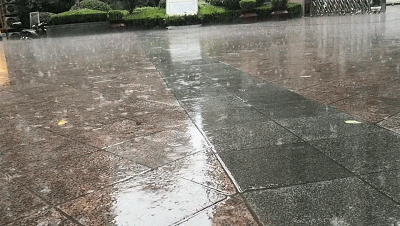 142636ga882821a6zcouzr.gif