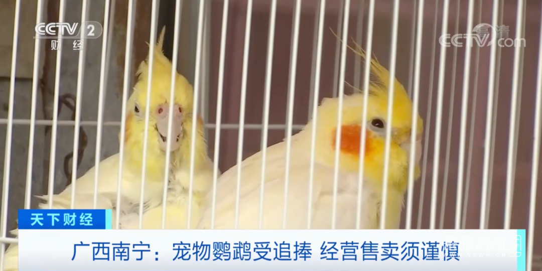 113011boodeso4lz4n3738.png