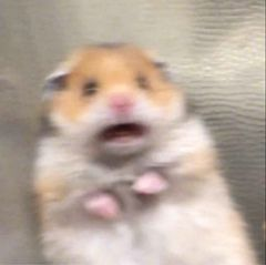 151301yjdi397zms79oivd.png
