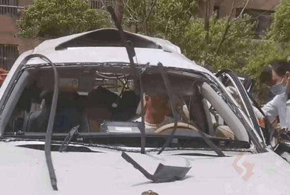 101931zn222444nb52ntat.gif