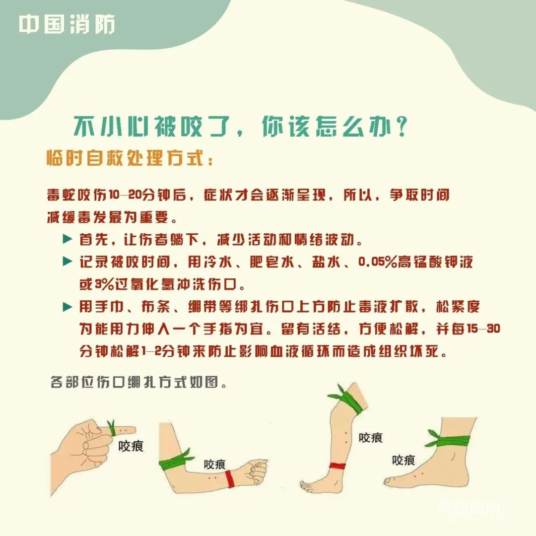 103231unfv615iln54qlv2.png