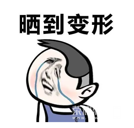 145750dswjebr9se6qvvx1.png