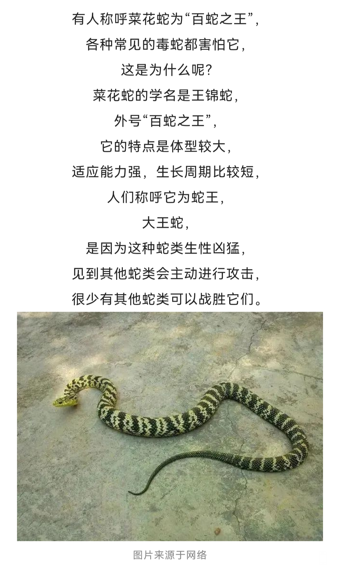 115501pck96imv9gc89d8n.png