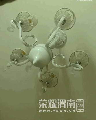 ΢�Ž�ͼ_20220610101740.png