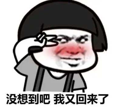175501h866pudcs6cpceu1.jpeg