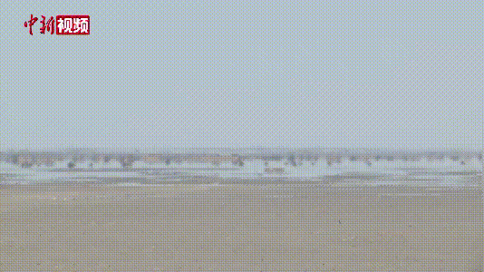 112223m88a3gn8i2zpm33e.gif