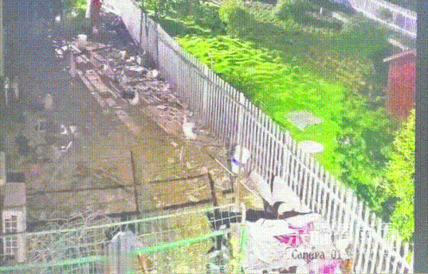 101.gif
