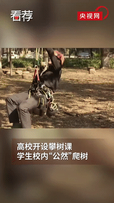 161519gfos33w0m2sh1yrz.gif