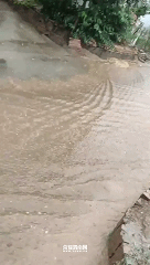 213846bj218ng44tn1tc9o.gif