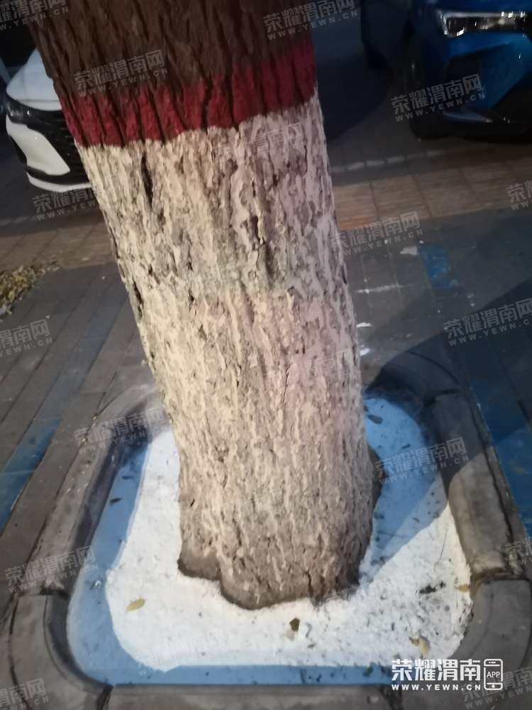 29.jpg