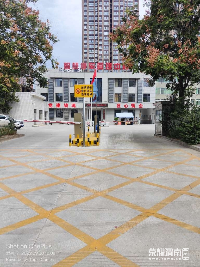 54.jpg