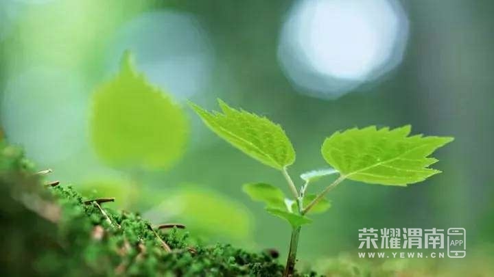 20221002202511front2_0_223375_FinAXAnk9vVF-zF-53pAC7DveC8V.jpg