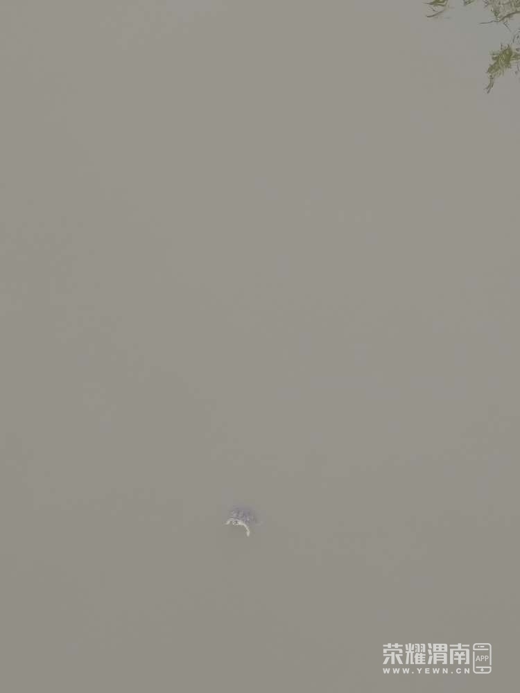 20221003090514front2_0_275988_Fq1Q57HvYCwjaYWNkbXAWZQhE2As.jpg