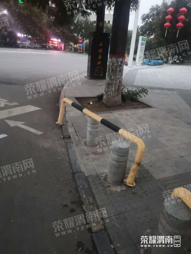 071832xzi3ig6ogizbib12.jpg