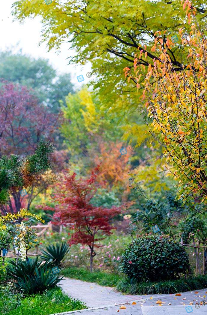 153458bl0un00njcyqnacj.jpg