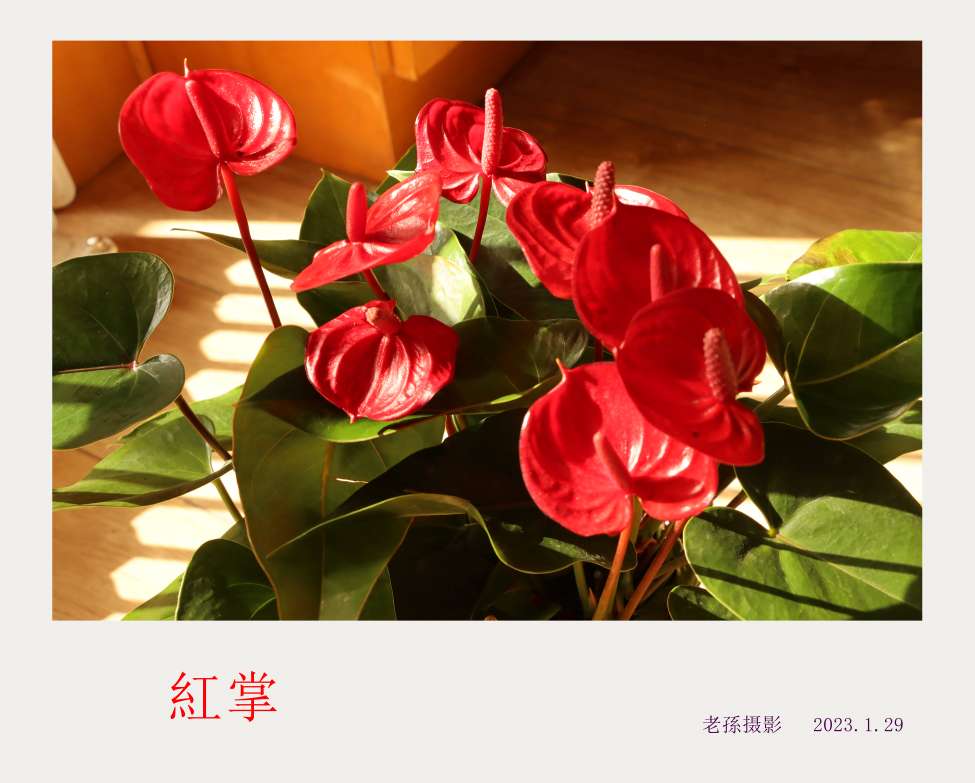 20230129111807front2_0_8888_FspPjP4H6OkznLK8aK0uwlddzUYz.jpg