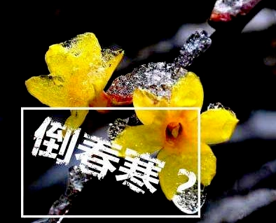 ΢�Ž�ͼ_20230309104547.png