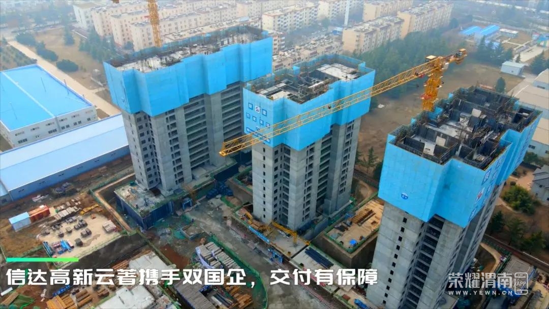 101408dtl3tdl3d442eez7.jpeg
