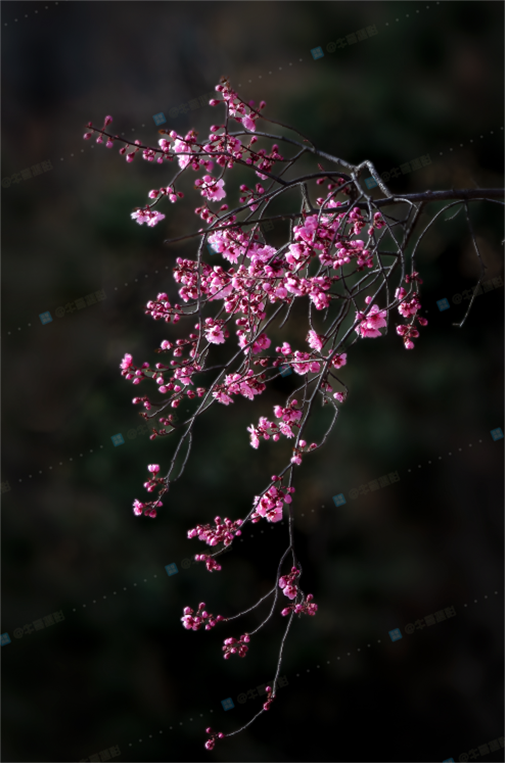 151535mbym9uj9unxs7yj9.png