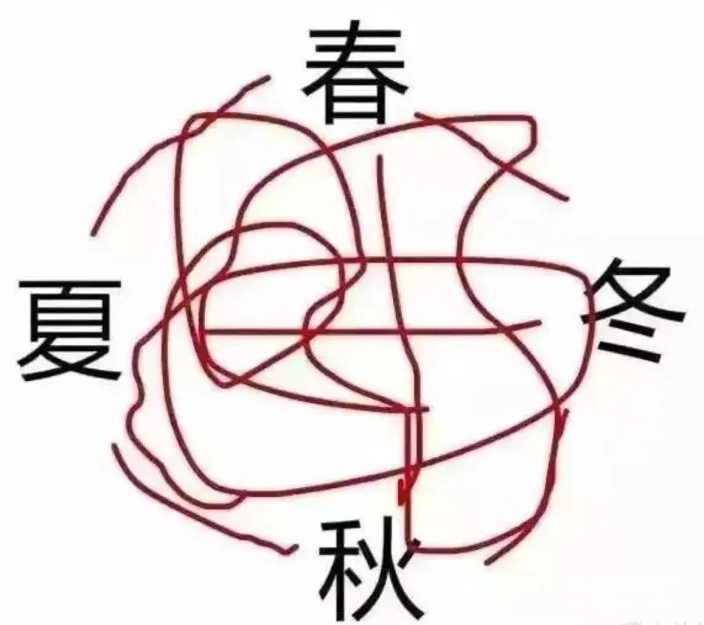 205837puza3vuhonoi9vni.jpeg