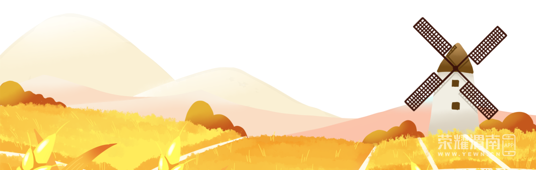 153817es37y2xn22rxxo2j.png