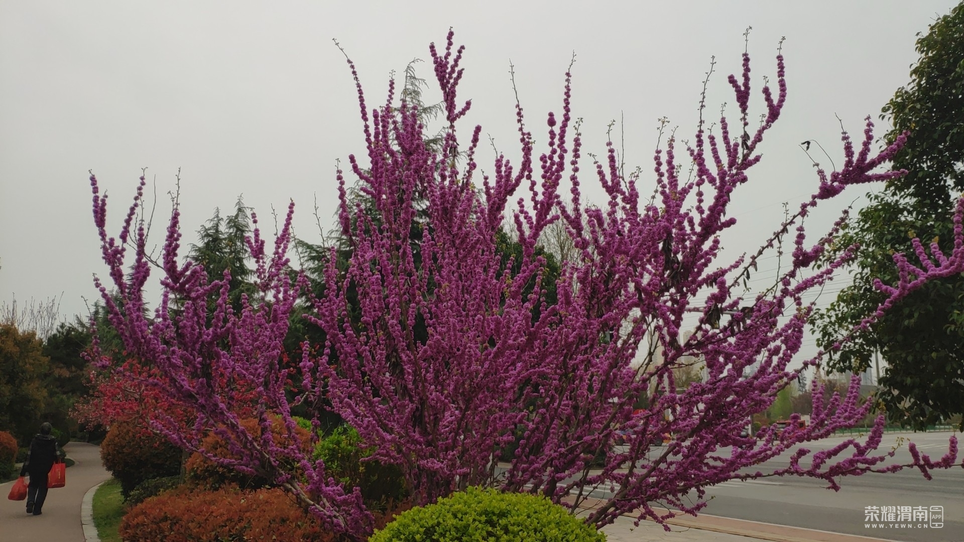 20230326112532front2_0_214996_FrjFfokZtlVPG5j46nAqfbg2Z3-K.jpg